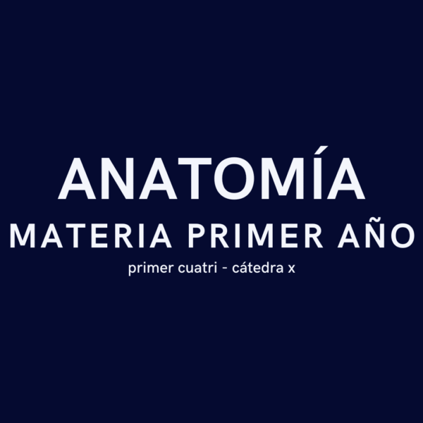 Anatomía 1