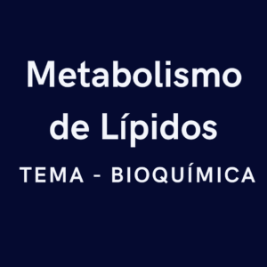 Metabolismo de Lípidos